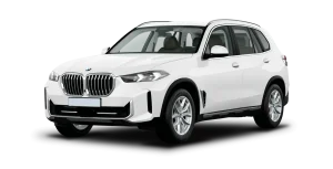 BMW X5 xDrive30d xLine