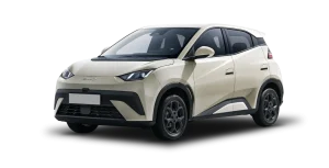 BYD Dolphin Surf Boost
